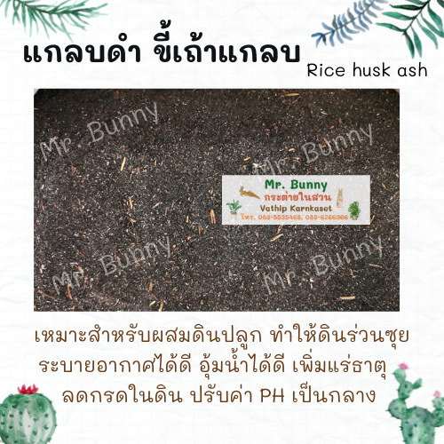 ถ่านแกลบดำ 100% ป้องกันเชื้อรา สำหรับบำรุงดิน