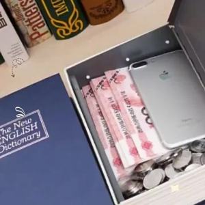 Qsaar Safe Password with Lock Small Lock Cabinet Small Cash Coin Bank Kids For Home Storage Organizer Hidden