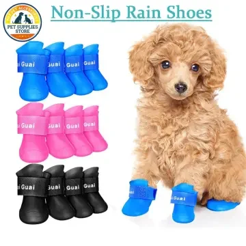 Aqua socks for dogs hotsell