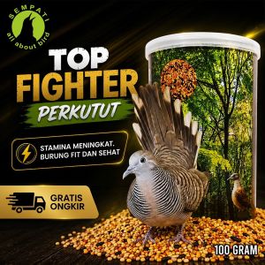 SEMPATI Top Fighter Perkutut Sempati Pakan Burung Juara Lomba Rajin Bunyi CRHKOB