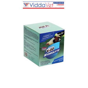 1box LAKING V22 HYDROLYTE 5grams 20 SACHETS per BOX Belman Post-Workout Recovery Formula for gamefowl animals