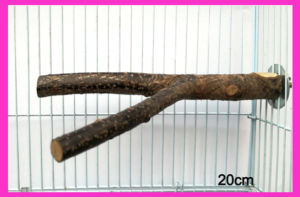 🇸🇬 Pet Bird Perch Stand Natural Wood