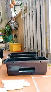 baki lọc hồ cá. lọc dàn mưa kt 1 khay 60 x 20 x 16cm gồm ống mưa.