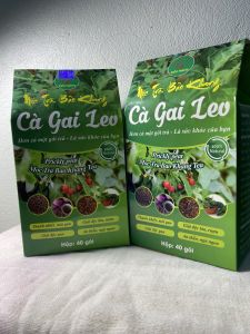 Combo 2 hộp trà cà gai leo túi lọc 80 gói trà túi lọc cà gai leo Bảo Khang giúp hạ men gan gan nhiễm mỡ thanh lọc giải độc gan