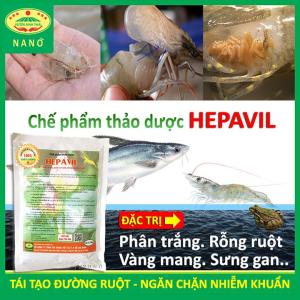 Chế phẩm sinh học Thảo Dược HEPAVIL trị bệnh Tôm Cá Ếch - Khỏi lo rỗng ruột phân trắng vàng mang sưng gan - Hiệu quả ngay sau 5-7 ngày !