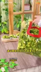 45g 即食咸香椒盐西兰花脆健康零食蔬果干 Instant Salted Pepper Salt Broccoli Crispy Healthy Snacks Dried Fruits Vegetables