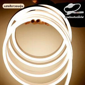ไฟแถบนีออน neon flex LED ดัดงอได้ ดัดงอได้ ยาว5/10ม สีสวยกันน้ำแรงดัน 220V รวมถึงปลั๊ก ความสว่างสูง strip light 3 สีให้เลือก ต่อปลั๊กให้พร้อมใช้งาน  ไฟตกแต่งห้อง ไฟเส้น led 180° กันน้ำ สามารถพับและงอได้ตามต้องการ ระยะห่างหนึ่งเมตรสามารถตัดได้อย่างอิสระ
