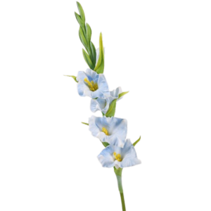 COUPLECOL Cảm ứng thật Cành gladiolus nhân tạo Nghệ thuật hoa Thủ công Hoa gladiolus mô phỏng Đạo cụ chụp ảnh PU Hoa giả Trang trí tiệc ngày lễ