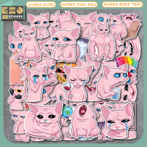 Combo 50 Sticker SPHYNX CAT chống nước sticker dán laptop điện thoại đàn guitar mũ bảo hiểm vali.
