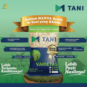 Bibit Padi M70D M70 Benih M-70 M Tani 5KG