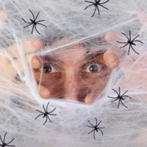Halloween Spider Web Decorations with Spiders Cobwebs Halloween Decorations Super Stretch Cobwebs for Halloween Party Supplie