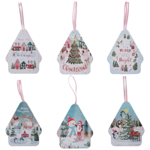 Set Of 6 Reusable Christmas Tin Storage Boxes Gift Packaging Case with Lid Holiday Decoration Containers For Gifts