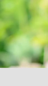 Glowming Shape Detox by Cris Clerigo