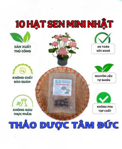 gói 10 hạt sen mini nhật bản giống mix 10 màu