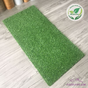 [50cm x 1m] Tấm cỏ nhựa nhân tạo cao cấp trang trí sân vườn hành lang ban công chung cư...