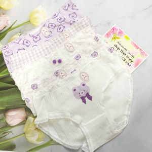 Set 5 Quần lót thun cotton hình gấu tím 30kg đến 50kg cho bé gái QC22