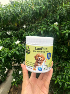 Sữa bột cho chó LacPup hộp 100g Nutricats
