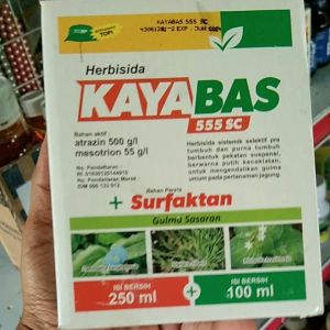 herbisida selektif untuk tanaman jagung kayabas 555 SC