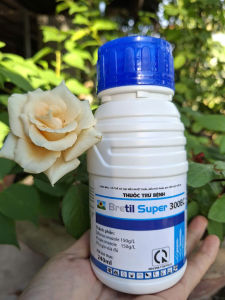 [VTNN TIEN KHOA] Thuốc trừ bệnh rỉ sắt thán thư khô vằn lem lép hạt BRETIL SUPER 300EC chai 240ml
