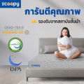 [โค้ดลด 100บาท] Zcoopy ที่นอนโฟมชาร์โคล นุ่มแน่น ราคาประหยัด สบายกระเป๋า ส่งฟรี รุ่น Charcoal. 