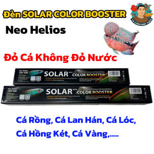 Đèn Solar Color Booster Nep Helios Đỏ Cá Không Đỏ Nước Cho Cá Rồng Lan Hán Hồng Két Cá Vàng Guppy...