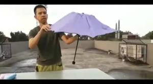 Payung Lipat Motif Buah Anti UV Free Sarung Kecil Bisa Di Bawa