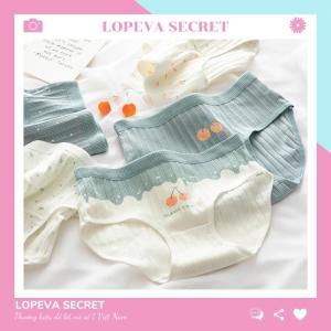 Quần lót nữ cotton thái vải mềm cute dễ thương kháng khuẩn LOPEVA QL16
