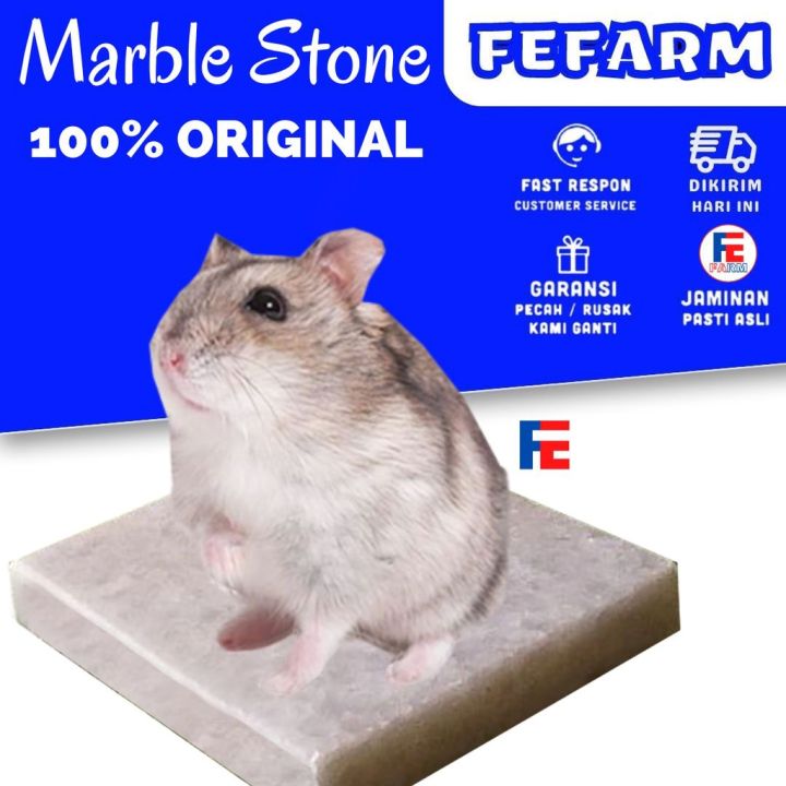 MARBLE PAD Marble Cooling Pad Hamster Pendingin Hamster Alas