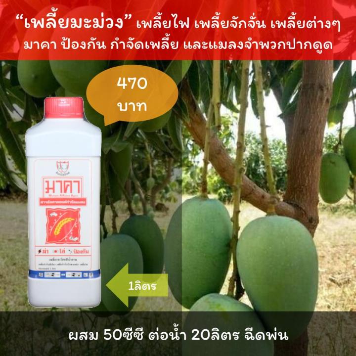 %E0%B8%A2%E0%B8%B2%E0%B8%86%E0%B9%88%E0%B8%B2%E0%B9%80%E0%B8%9E%E0%B8%A5%E0%B8%B5%E0%B9%89%E0%B8%A2%E0%B8%9F%E0%B8%B1%E0%B8%81%E0%B8%82%E0%B9%89%E0%B8%B2%E0%B8%A7%20%E0%B8%A1%E0%B8%B2%E0%B8%84%E0%B8%B2%20%E0%B8%AA%E0%B8%B2%E0%B8%A3%E0%B8%AD%E0%B8%B4%E0%B8%99%E0%B8%97%E0%B8%A3%E0%B8%B5%E0%B8%A2%E0%B9%8C%20%E0%B8%84%E0%B8%B8%E0%B8%93%E0%B8%A0%E0%B8%B2%E0%B8%9E%E0%B8%AA%E0%B8%B9%E0%B8%87%20%E0%B8%9B%E0%B8%A5%E0%B8%AD%E0%B8%94%E0%B8%A0%E0%B8%B1%E0%B8%A2%20%E0%B8%9F%E0%B8%B1%E0%B8%81%E0%B8%82%E0%B9%89%E0%B8%B2%E0%B8%A7%E0%B9%83%E0%B8%9A%E0%B8%AB%E0%B8%87%E0%B8%B4%E0%B8%81%20%E0%B9%80%E0%B8%9E%E0%B8%A5%E0%B8%B5%E0%B9%89%E0%B8%A2%E0%B9%84%E0%B8%9F%E0%B8%9F%E0%B8%B1%E0%B8%81%E0%B8%82%E0%B9%89%E0%B8%B2%E0%B8%A7%20%E0%B9%80%E0%B8%9E%E0%B8%A5%E0%B8%B5%E0%B9%89%E0%B8%A2%20%E0%B8%9F%E0%B8%B1%E0%B8%81%E0%B8%82%E0%B9%89%E0%B8%B2%E0%B8%A7%20%E0%B9%80%E0%B8%9E%E0%B8%A5%E0%B8%B5%E0%B9%89%E0%B8%A2%E0%B8%95%E0%B9%88%E0%B8%B2%E0%B8%87%E0%B9%86%20-%20Image%202