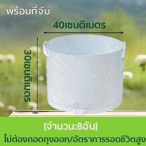 ถุงปลูกผัก ถุงปลูกต้นไม้ ถุงเพาะชำ ระบายน้ำดี รากเดินไว​ ใช้ทนนานได้​ 8​ ปี ครึ่งกิโล