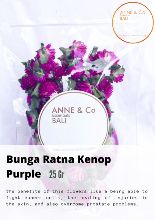 ANNE&CO BALI DRY LOCAL FLOWERS || BUNGA RATNA KENOP PURPLE 25 Gr