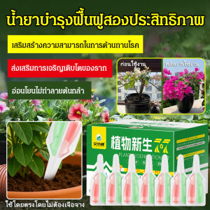 เครื่องฟื้นฟูต้นไม้กระถาง ปุ๋ยรายเดือน/เครื่องฟื้นฟูต้นไม้กระถางการ์ดีเนีย ปุ๋ยชีวิตใหม่/เครื่องฟื้นฟูต้นไม้ ปุ๋ยการ์ดีเนียสด เดลฟิเนียม ต้นโชคลาภ