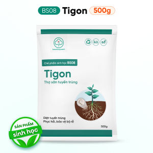 BS08 Tigon Diệt Tuyến Trùng Rễ 250g 500g - Phòng Vàng Lá Cải Tạo Đất Phục Hồi Cây - Bác Sĩ Cây Xanh
