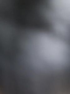 Transparent French Crystal Rhinestone Sandals & Nude Heels