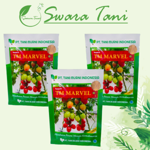 Benih Tomat F1 TM MARVEL Isi 3000 Biji Tani Murni
