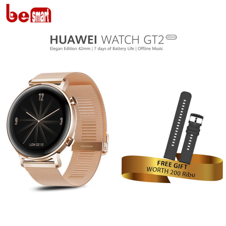 Rent Huawei GT2 Elegant Smartwatch genuine Stainless