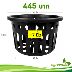 กระถาง กระถางกล้วยไม้ กระถางแขวน กลม 6 นิ้ว สีดำ 100 ใบ ชิ้น อัน