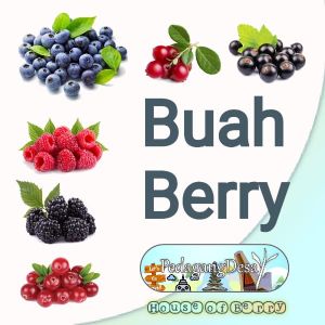 Paket Lengkap Benih Berry: Memilih & Menggunakan Benih Bibit Import Super