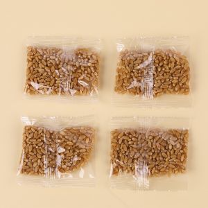 Soilless hydroponics cat grass box helps cats digest cat snacks cat mint planting cat grass basin