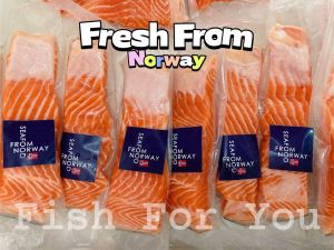 🔥BEST DEAL🔥 FRESH Norway Salmon trout Sashimi Grade 4 to 5kg WHOLE PCS 挪威三文鱼 *PRE ORDER *