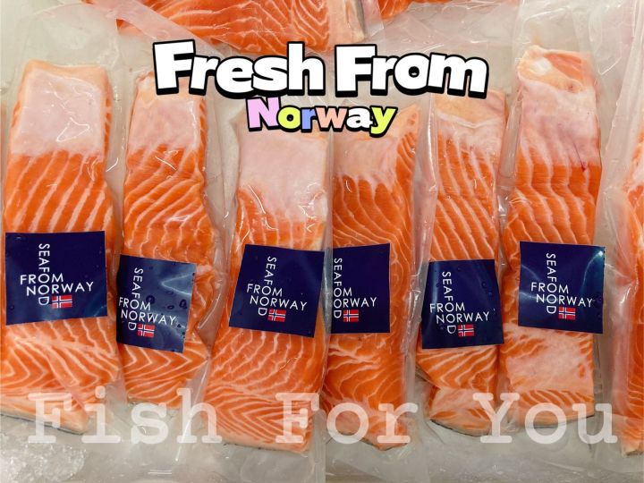 🔥BEST DEAL🔥 FRESH Norway Salmon trout Sashimi Grade 4 to 5kg WHOLE PCS ...