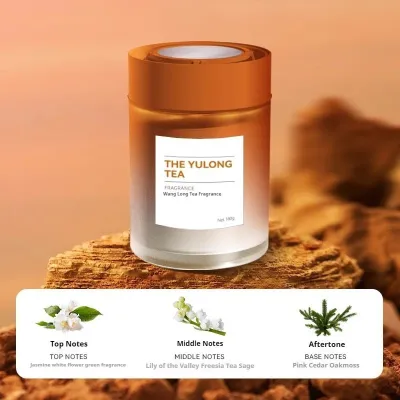 Car Solid Perfume Balm 100g🌿Luxury Aromatherapy Air Freshener for Car🚽Toilet🛏️Room Deodorizer