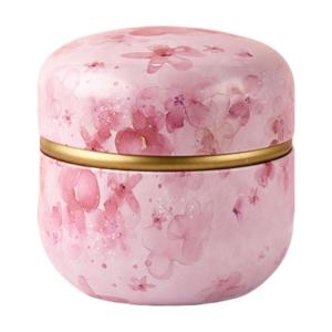 Modern Teas Canister With Tight Lid For Dry Use Sealed Container Kitchen Storage Tin for Candy Use