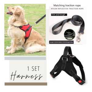 Pet Harness Dog Cat Tebal  / Rompi Anjing Kucing 1 Set Dengan Tali