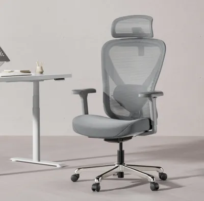 Hinomi Q1 Ergonomic Home Office Mesh Chair Ergochair With Adjustable Lumbar Support Headrest and Armrest
