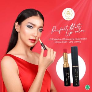 Viva Queen Perfect Matte Lip color