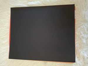 3M Sandpaper Wet or Dry Grit #800 #120 #100 (PER PIECE) 9x11inches