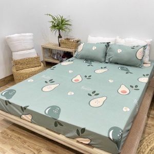 Ga trải giường m6/m8 drap giường poly nhiều mẫu lựa chọn