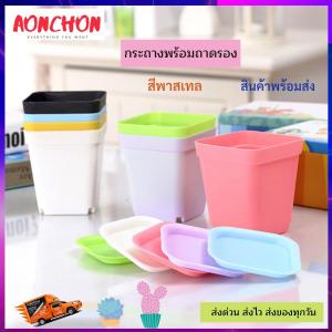 กระถางแคคตัสขนาด 3 นิ้ว กระถางต้นไม้ กระถางปลูกต้นไม้ กระถางพลาสติก สีพาสเทล พร้อมถาดรอง ขนาดเล็ก 7 x 7 x 5 cm กระถางไม้อวบน้ำ