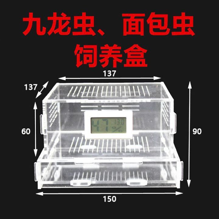 Nine Dragon Worm Breeding and Reproduction , Mealworm Larva Waste ...